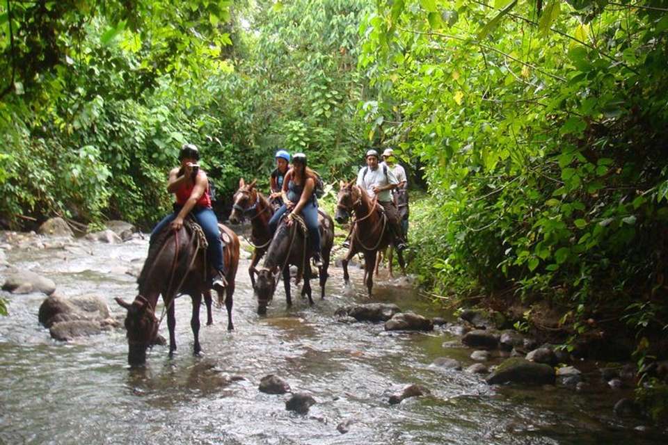 Horseback To La Fortuna Waterfall From Arenal - Destination Services - Costa Rica - Image 1