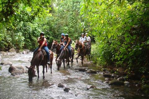 Horseback To La Fortuna Waterfall From Arenal - 5 Hours