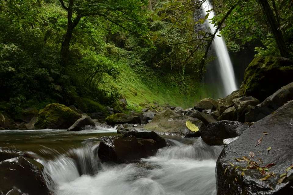 Horseback To La Fortuna Waterfall From Arenal - Destination Services - Costa Rica - Image 3