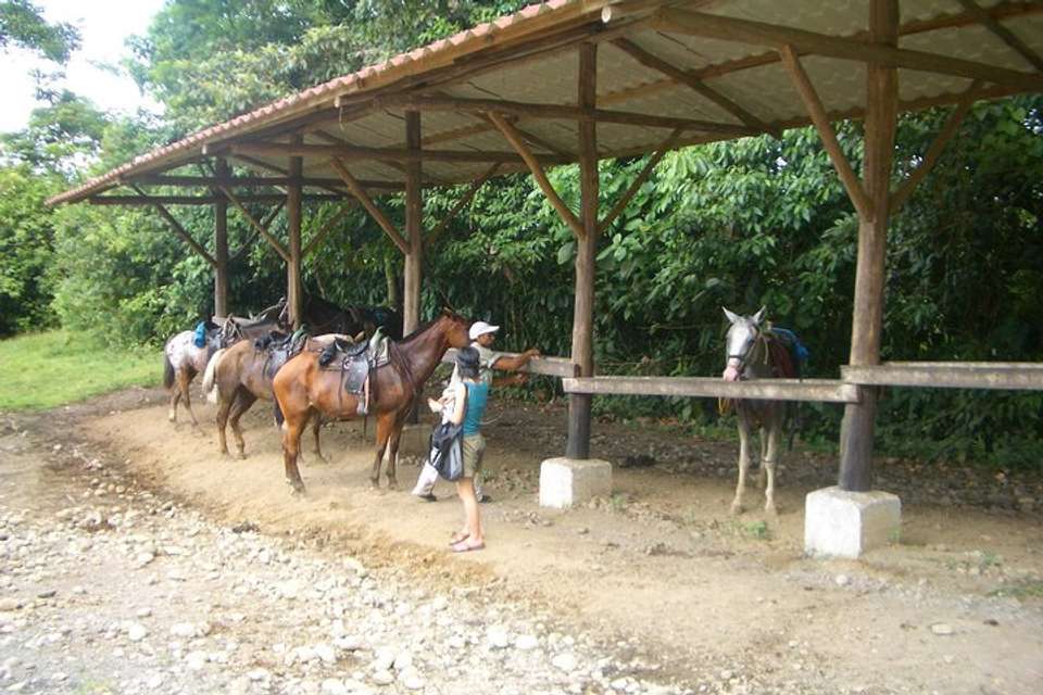 Horseback To La Fortuna Waterfall From Arenal - Destination Services - Costa Rica - Image 5