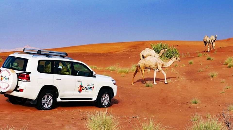 Hot Air Balloon Ride in Dubai with Pickup - undefined - Image 4