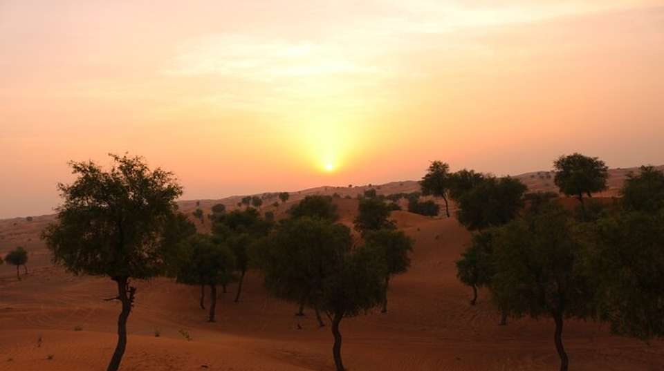 Hot Air Balloon Ride in Dubai with Pickup - undefined - Image 13