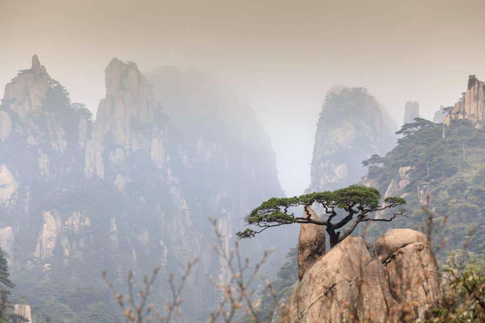 Huangshan City Break, Private Tour - Destination Services - China - Image 3