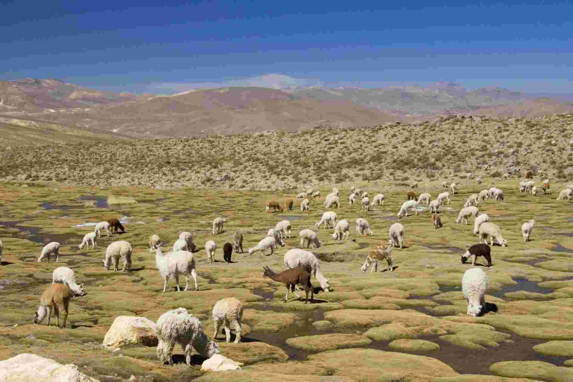Huaraz, The Heart Of The Mountains - Semi-private Tour