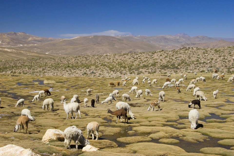 Huaraz, The Heart Of The Mountains - Semi-private Tour - Destination Services - Peru - Image 1
