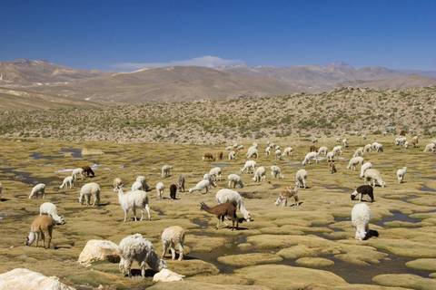 Huaraz, The Heart Of The Mountains - Semi-private Tour - September 2025