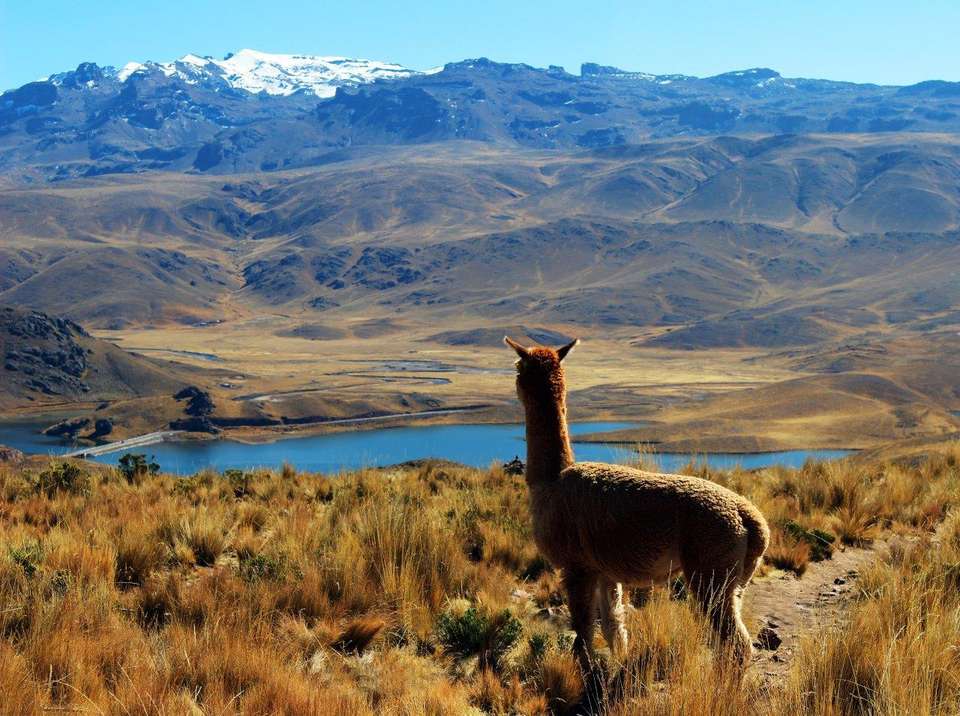Huaraz, The Heart Of The Mountains - Semi-private Tour - Destination Services - Peru - Image 2