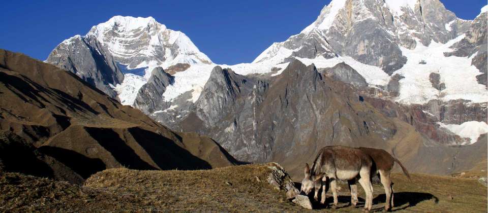 Huayhuash Circuit - undefined - Image 3