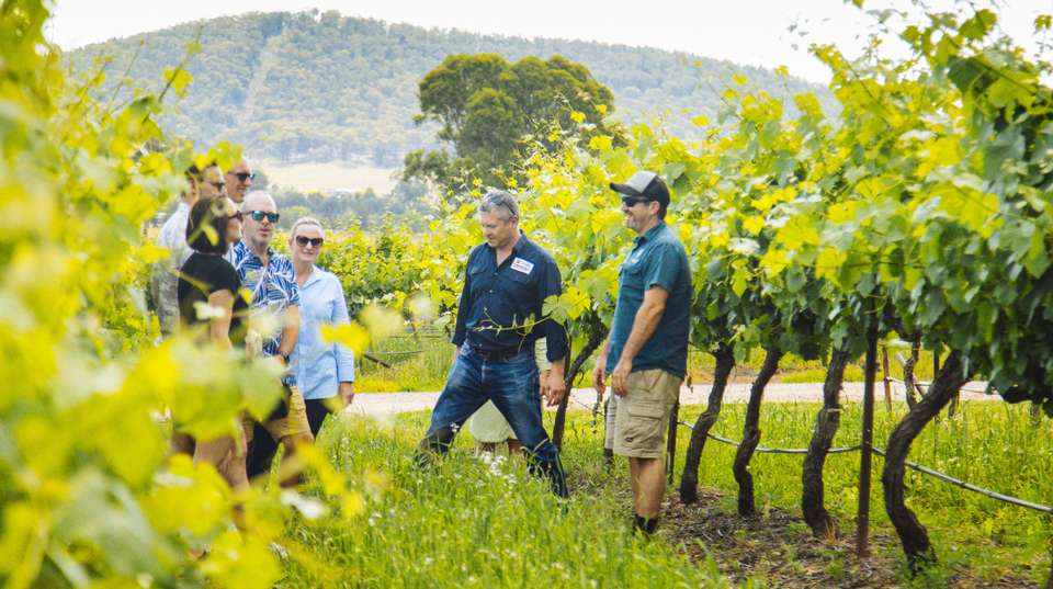 Hunter Valley Wine-Tasting Day Trip - Colourful Collective Travel - Australia - Image 5