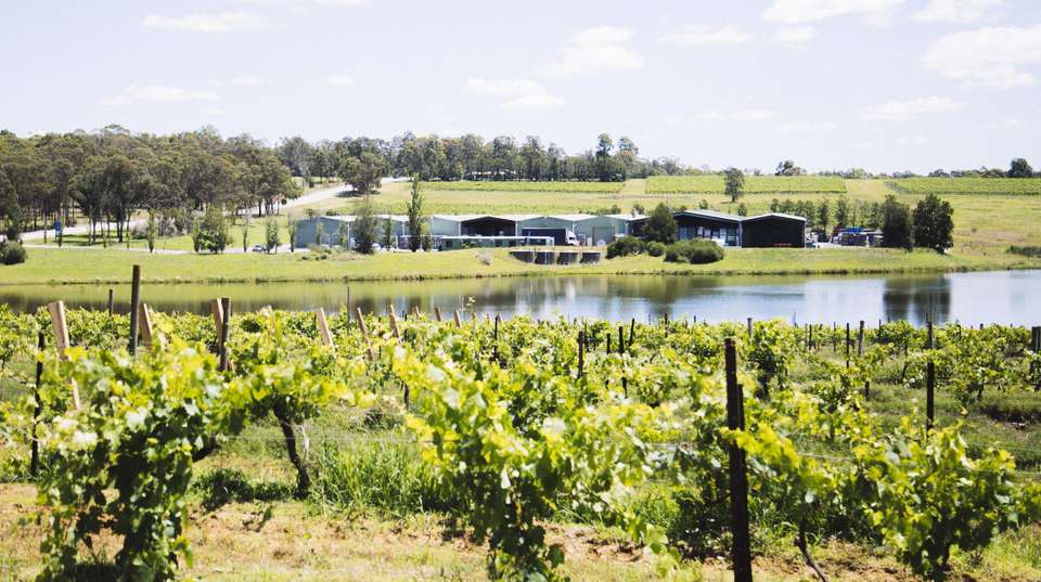 Hunter Valley Wine-Tasting Day Trip - Colourful Collective Travel - Australia - Image 8