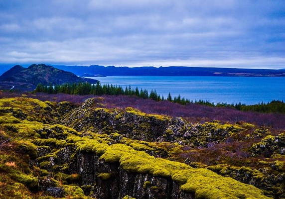 Image 5 of 8