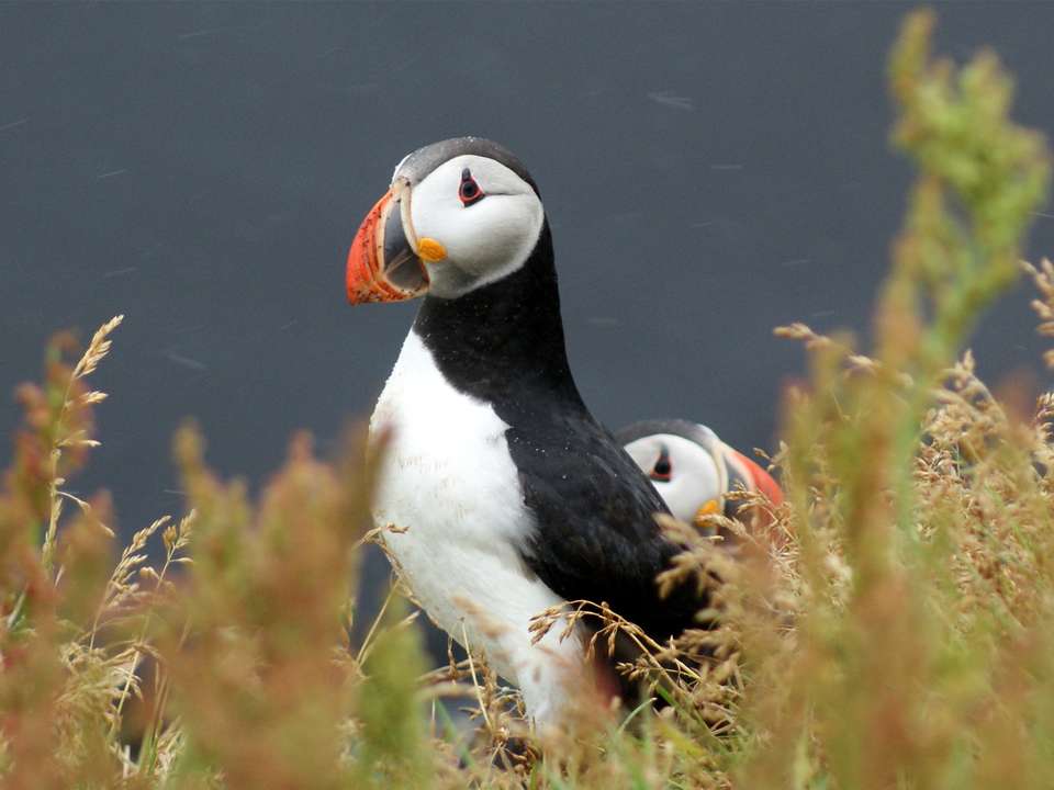 Iceland Encompassed - 12 days - On The Go Tours - Iceland - Image 3