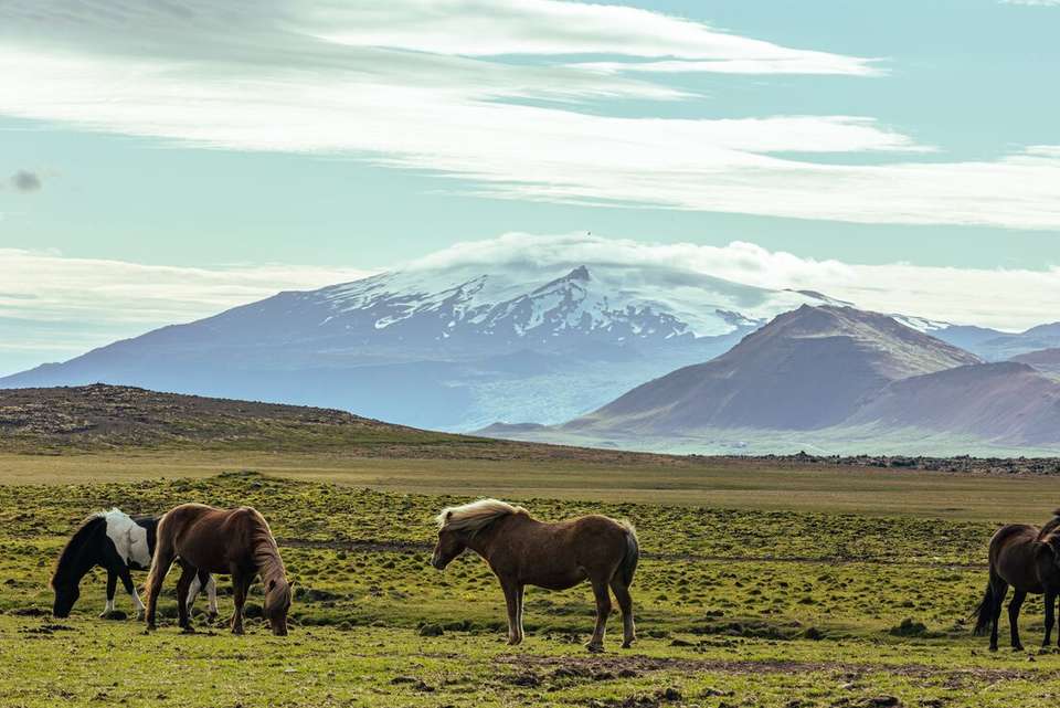 Explore Iceland: Golden Circle & Snaefellsnes Peninsula - Intrepid Travel - Iceland - Image 10