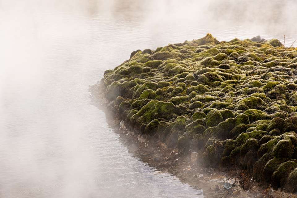 Iceland's Golden Circle in Depth - Intrepid Travel - Iceland - Image 5
