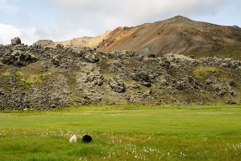 Iceland's Laugavegur Trail - Intrepid Travel - Iceland - Image 9