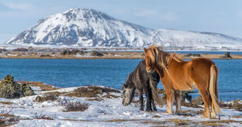 Iceland Winter Adventure - Explore - Iceland - Image 7