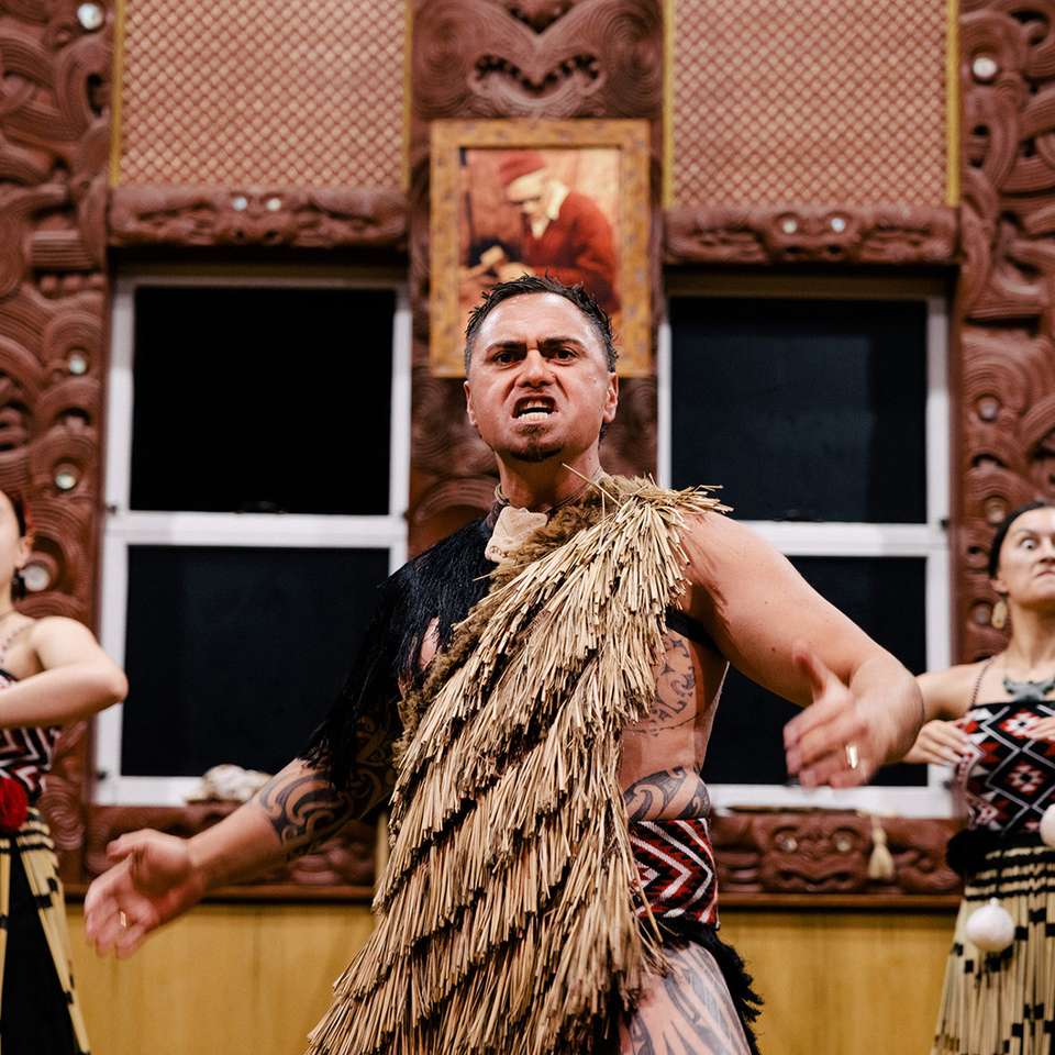 Iconic North - Aat Kings - New Zealand - Image 4