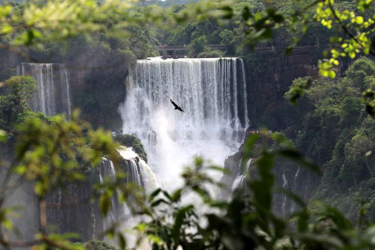 Iguazu Add-on Tour trip - alternative tour available