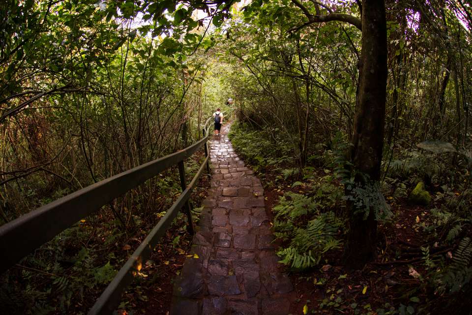 Iguazu Add-on Tour - undefined - Image 5
