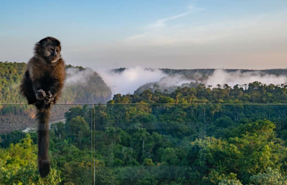 Iguazu Add-on Tour - undefined - Image 6