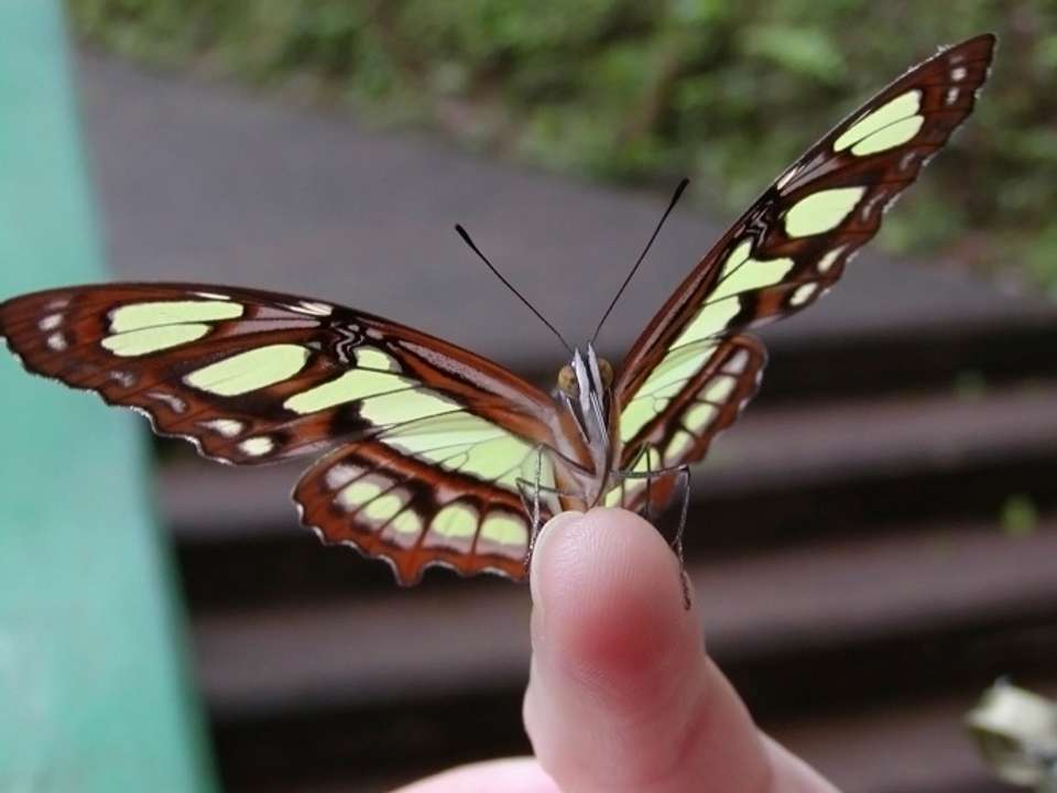 Iguazu Add-on Tour - undefined - Image 7
