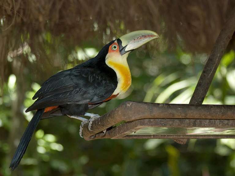 Iguazu Falls Adventure 4D/3N (Foz to Foz) trip - alternative tour available