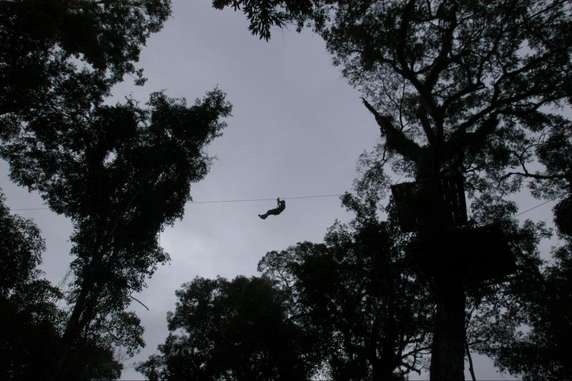 Image 3 of 8