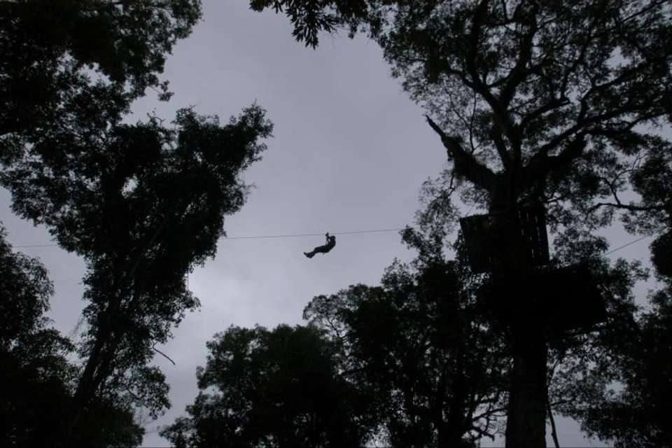 Iguazu Forest Tour - Tangol Tours - Argentina - Image 3