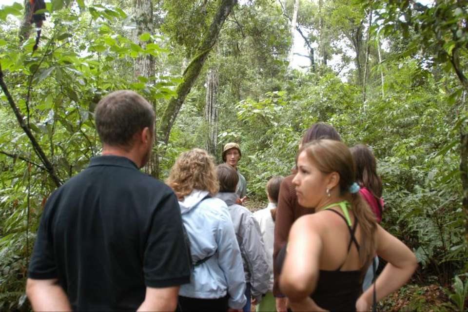 Iguazu Forest Tour - Tangol Tours - Argentina - Image 5