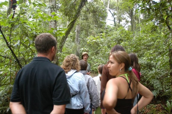 Image 5 of 8