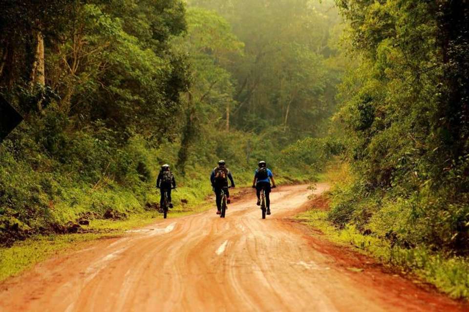 Iguazú: Yaguareté Road Bike Tour - Tangol Tours - Argentina - Image 1