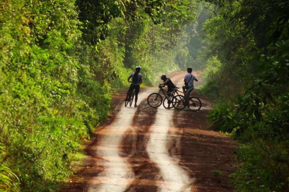 Iguazú: Yaguareté Road Bike Tour - Tangol Tours - Argentina - Image 6