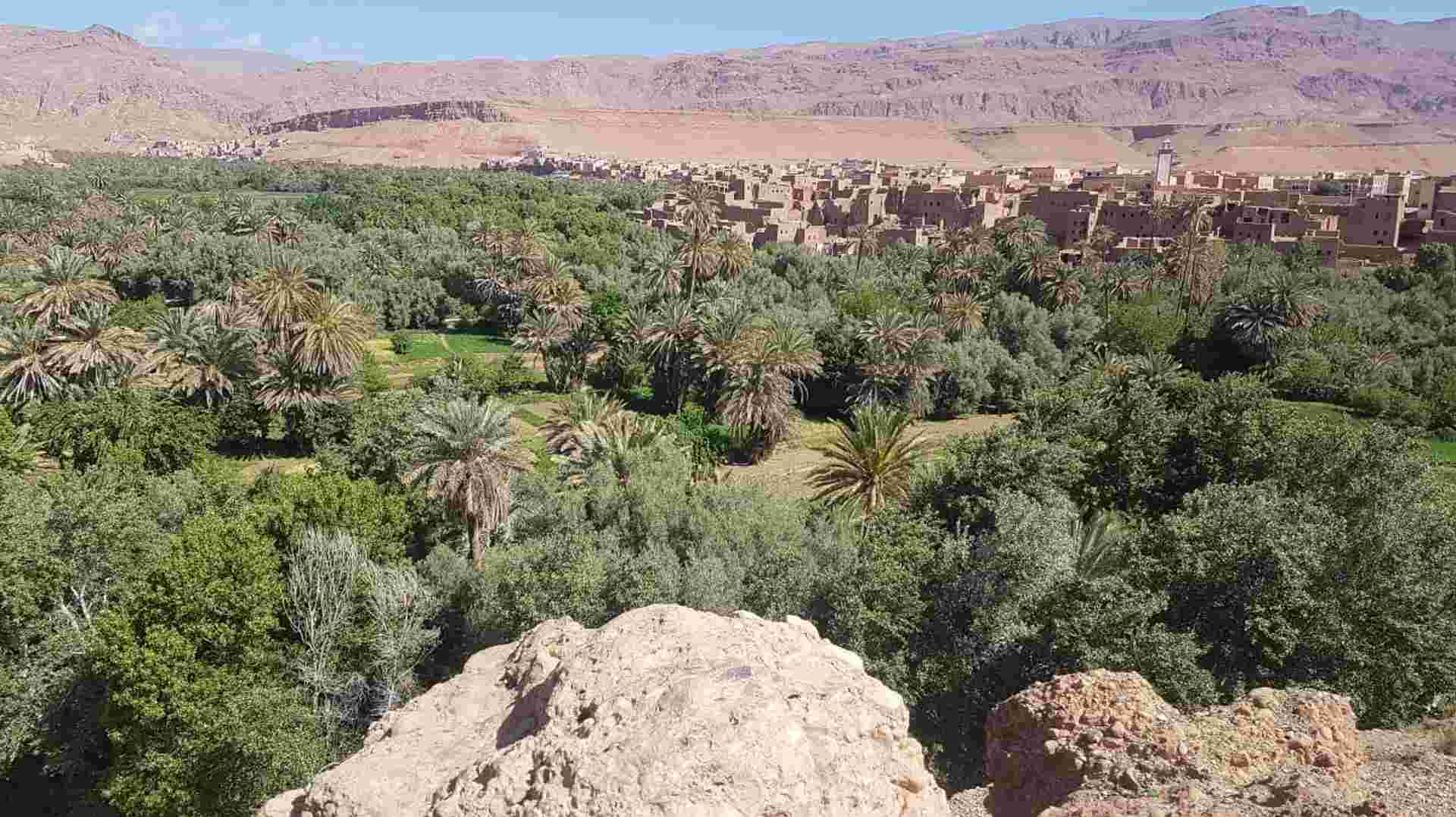 8 Day Morocco Tour from Casablanca: Atlas & Sahara Tour