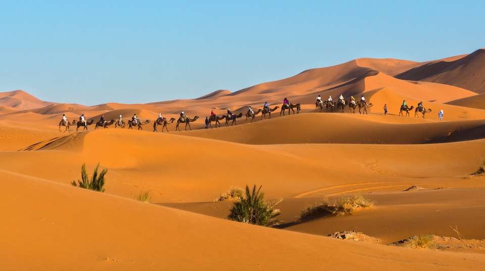 8 Day Morocco Tour from Casablanca: Atlas & Sahara Tour - Touareg Trails - Morocco