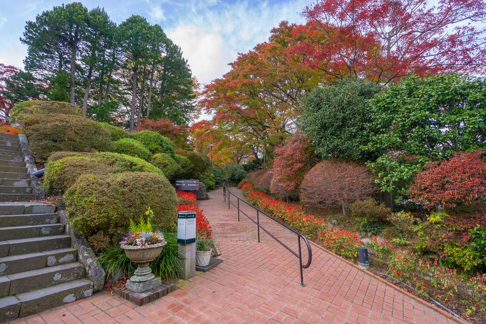 Imperial Japan's Enchanting Journey - 10 days - On The Go Tours - Japan - Image 15