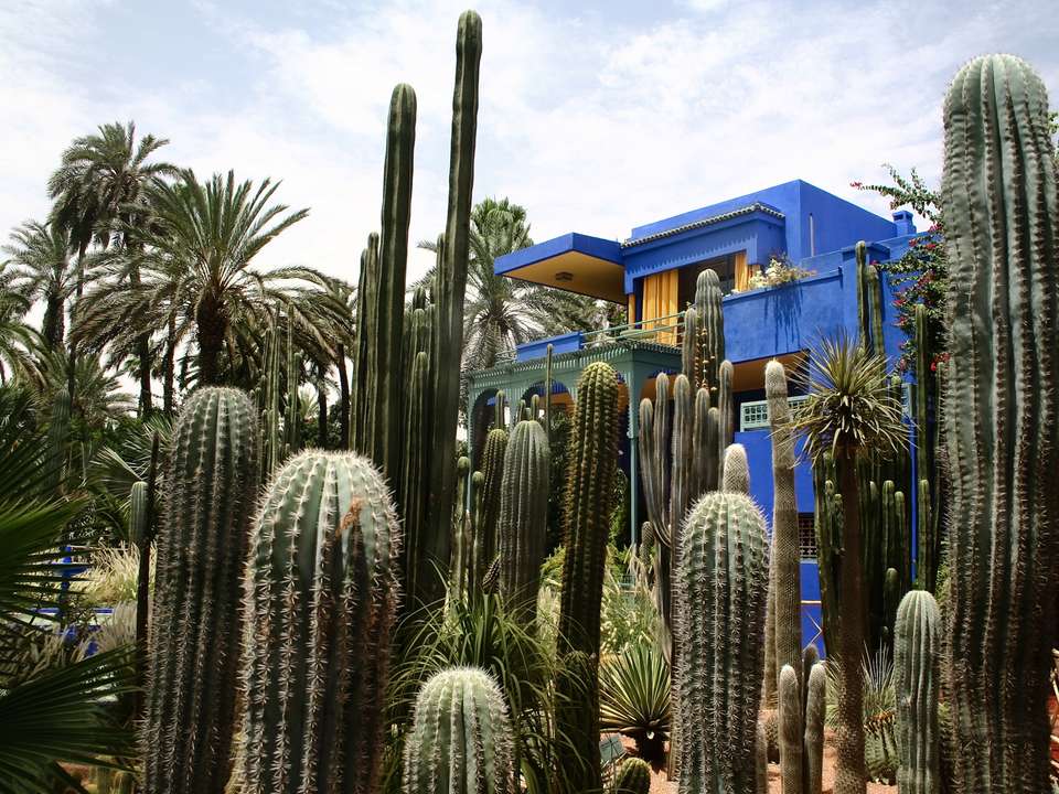 Imperial Morocco & Middle Atlas (Superior) - 8 days - On The Go Tours - Morocco - Image 2