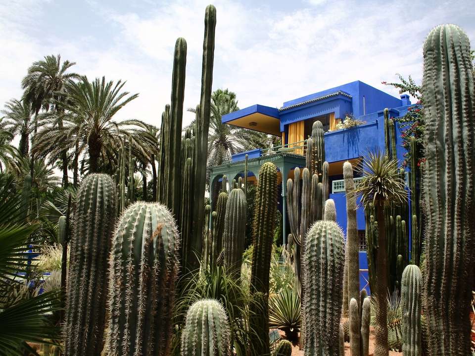 Imperial Morocco & Middle Atlas (Superior) - 8 days - On The Go Tours - Morocco - Image 2