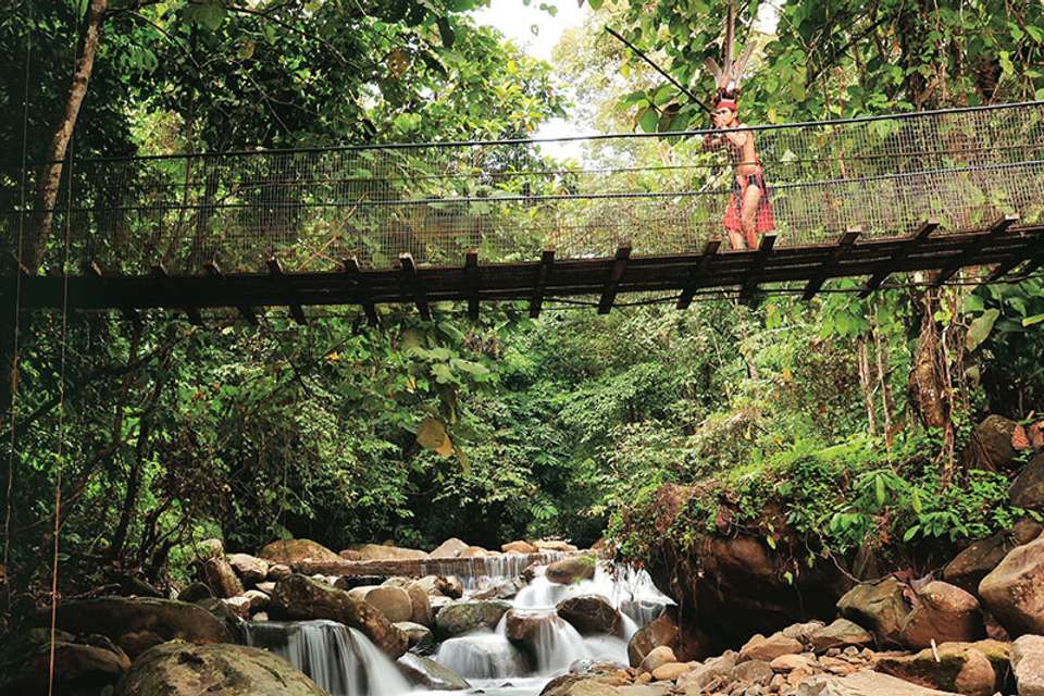 In-depth Borneo & Malaysia Tour - Tweet World Travel - Malaysia - Image 6