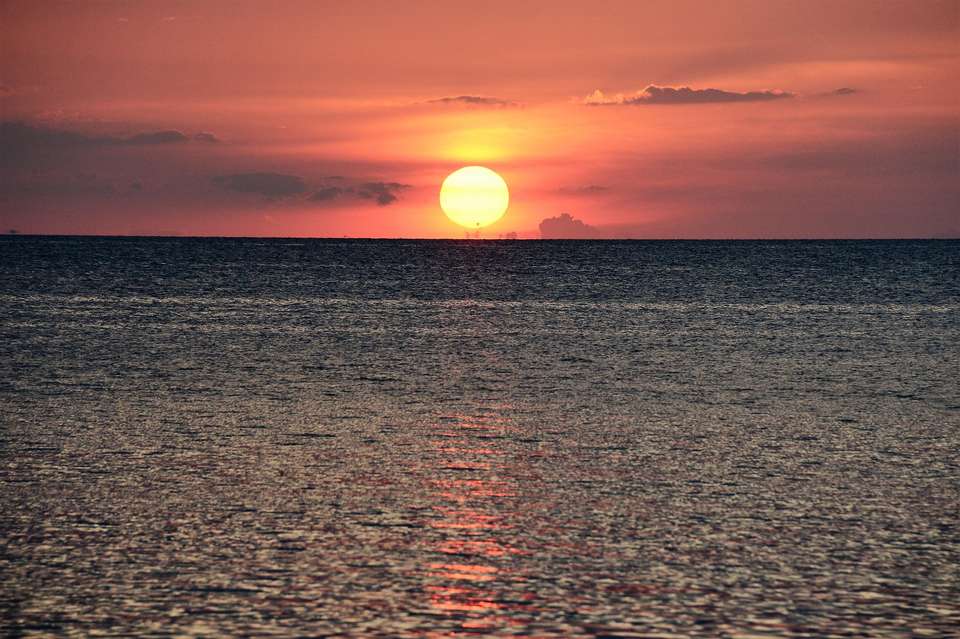 Image 12 of 13