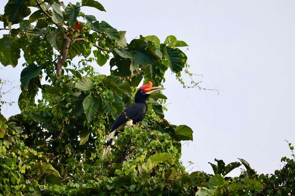Image 13 of 13