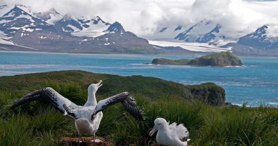 In Shackleton's Footsteps - M/V Sylvia Earle - Explore - Argentina - Image 2