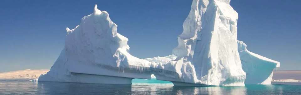 In Shackleton's Footsteps - M/V Sylvia Earle - undefined - Image 4