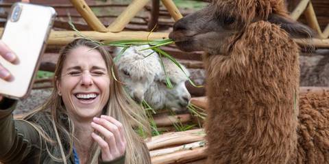 Inca Adventure: Cusco, Machu Picchu & The Best Views Ever - July 2027