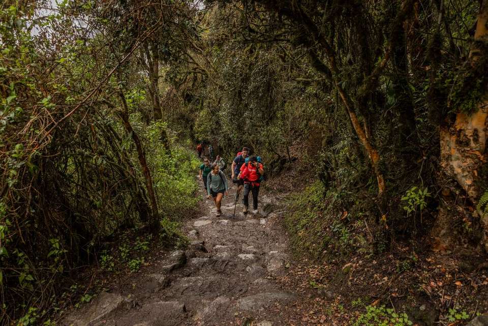 Inca Encounter - Intrepid Travel - Peru - Image 12