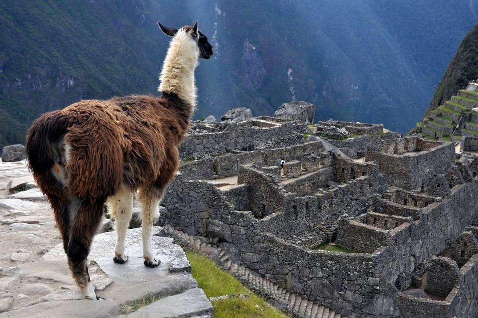 Inca Journey - Destination Services - Peru - Image 6