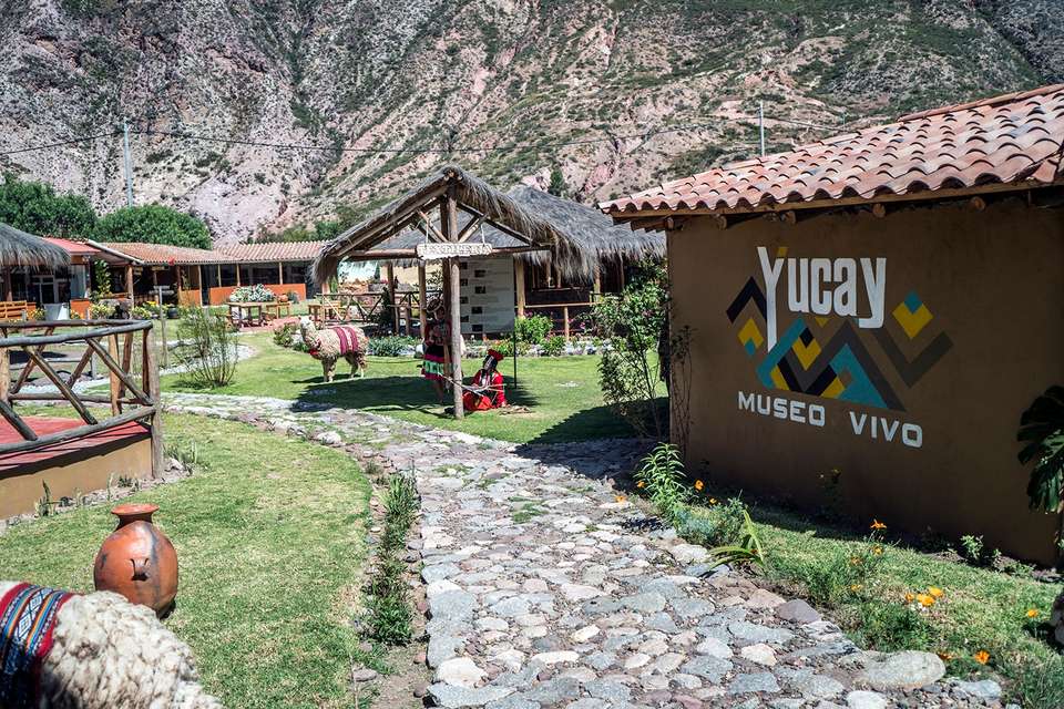 Inca Sunrise – 8 Days: Lima, Cusco, Maras, Machu Picchu With Domestic Flights, French-speaking Guide - Destination Services - Peru - Image 6