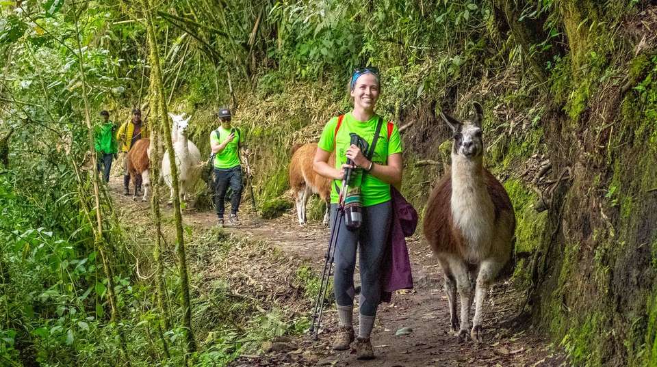 Inca Trail 2 days to Machu Picchu - Alpaca Expeditions - Peru