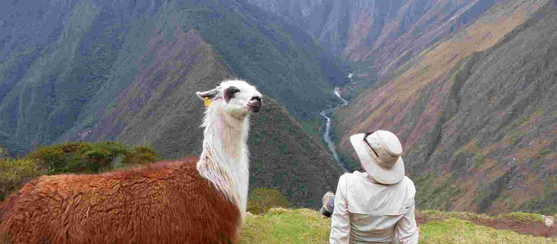 Inca Trail Adventure