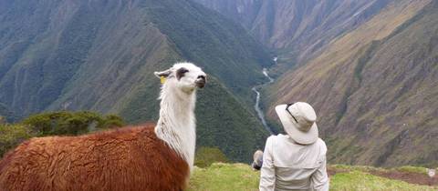 Peru Walking Tour: Inca Trail Adventure