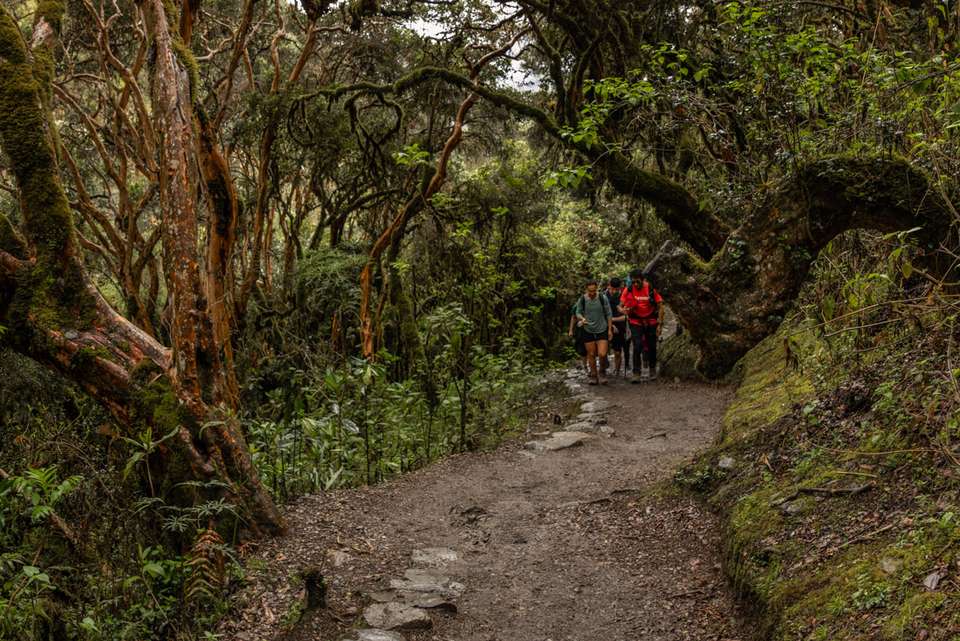 Inca Trail & Amazon Adventure - Intrepid Travel - Peru